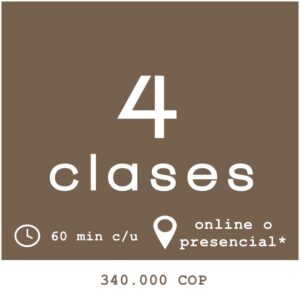 4 sesiones personalizadas de clase